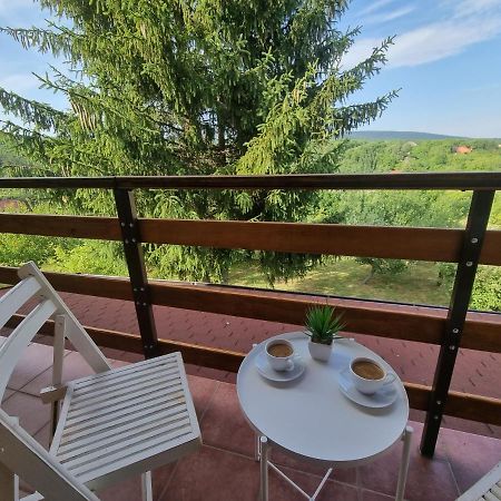 Hoopovo House Fruska Gora Villa Irig Luaran gambar