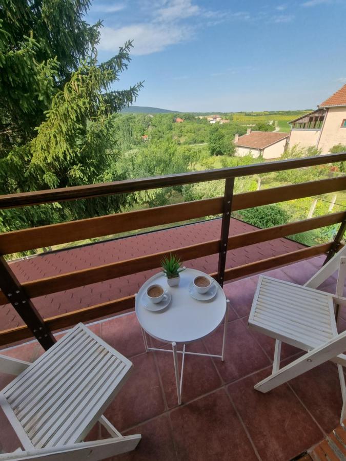 Hoopovo House Fruska Gora Villa Irig Luaran gambar