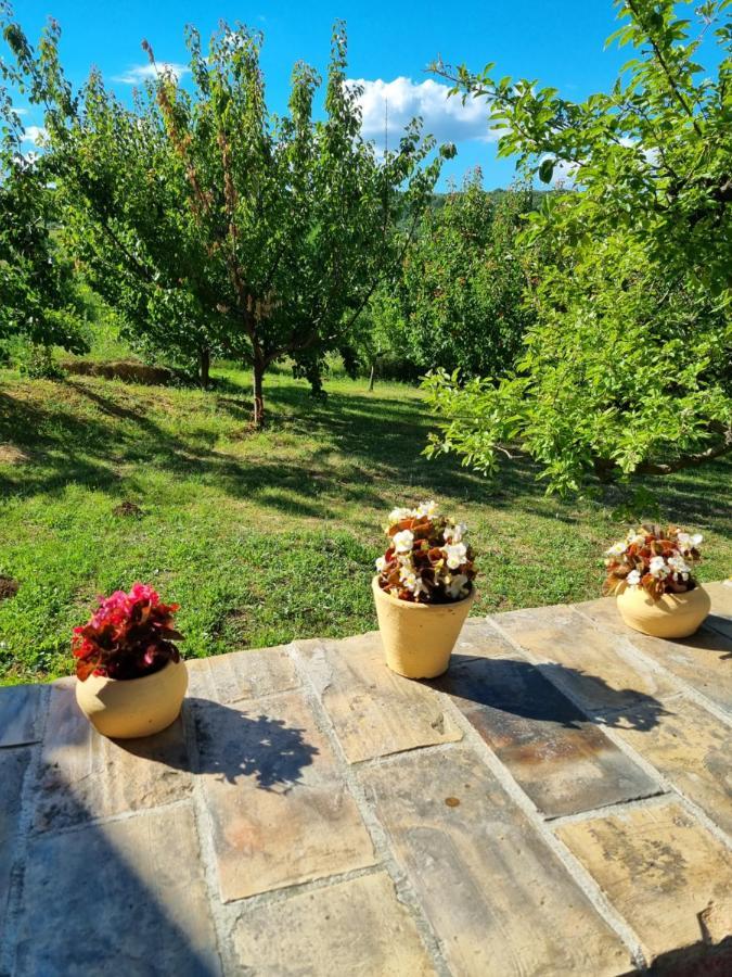 Hoopovo House Fruska Gora Villa Irig Luaran gambar